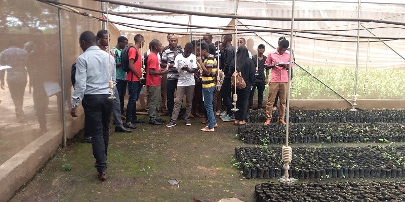 Experiential Learning for Silviculture TTSA TANZANIA 2