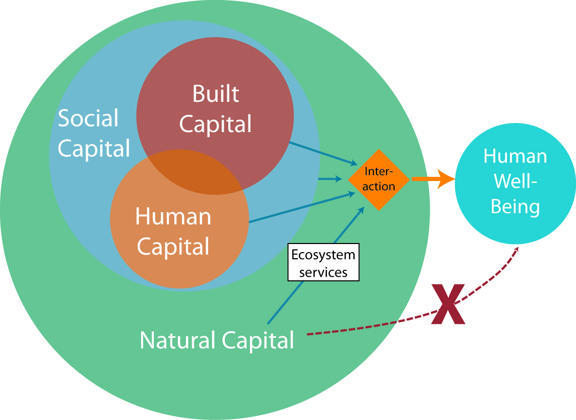 Six essential steps to analysing context of ecosystem services