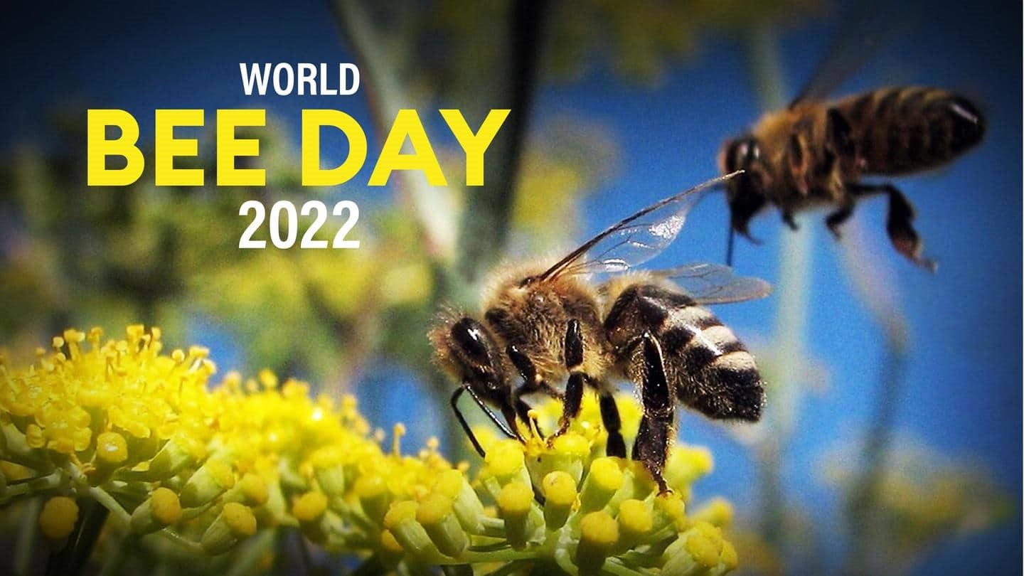 World Bee Day 2022 in Tanzania Department of Ecosystems and