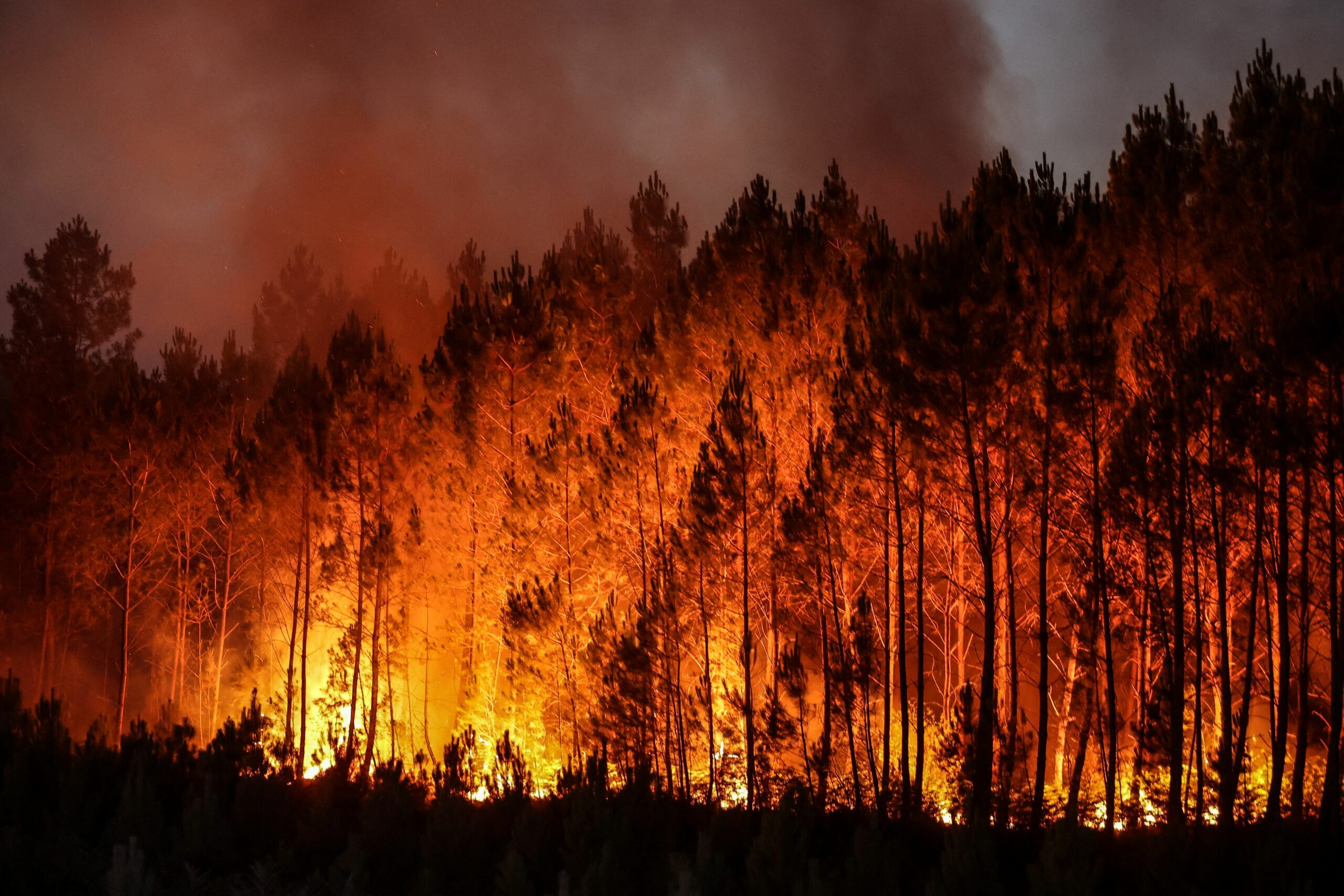 Taming wildfires in the context of climate change - Department of  Ecosystems and Conservation