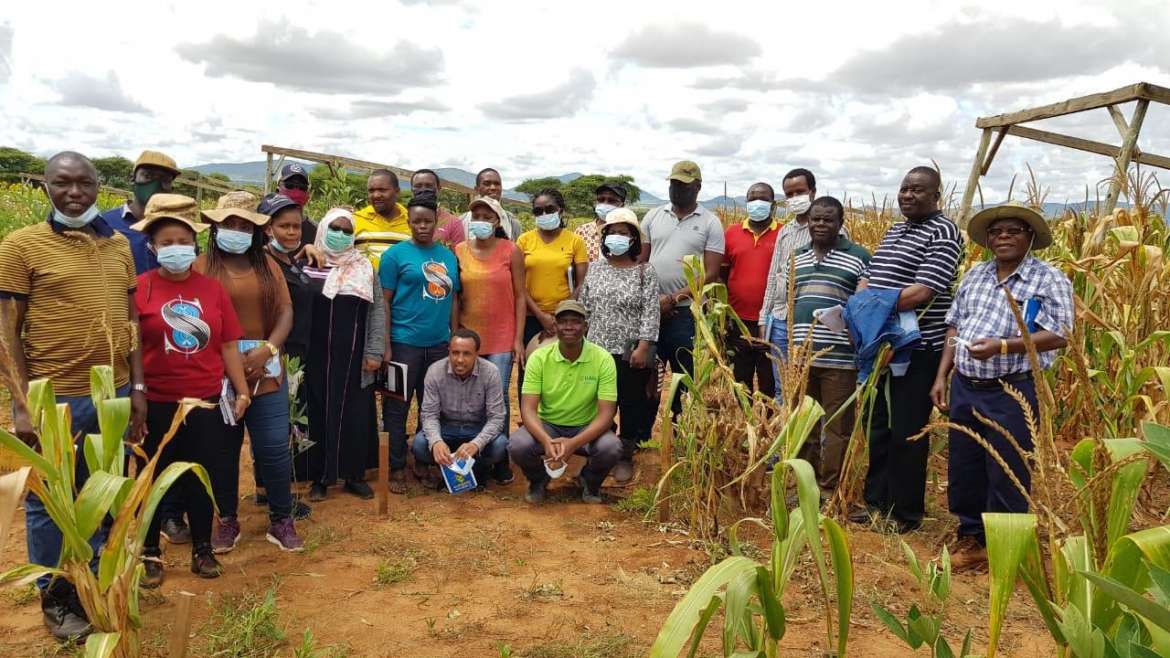 Climate change is real: could agroforestry be a sustainable solution to dryland farming?